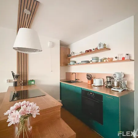 Spacious Two-bedroom In The 13th With Balcony Daire